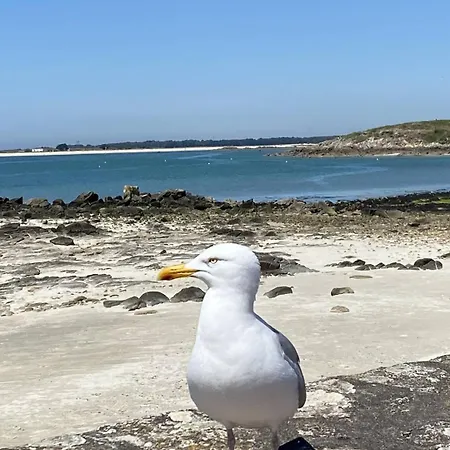 Centre Ville, Au Calme, Jardin. * Quiberon